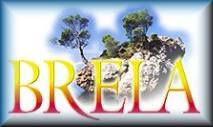 Brela
